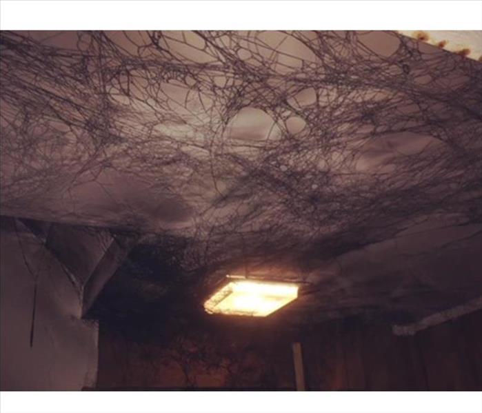 Soot webs on ceiling. Puffback damage