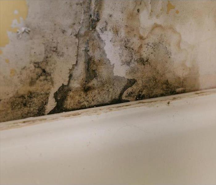 Mold growth on wall due to humidity