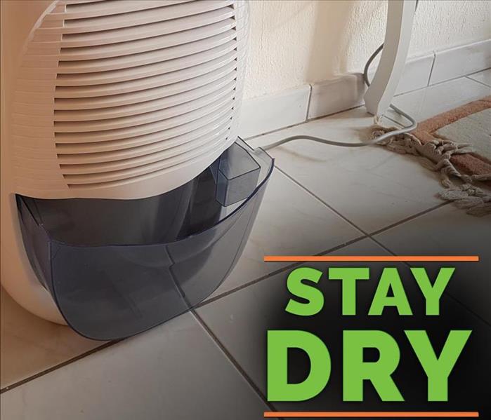Dehumidifer with the words STAY DRY